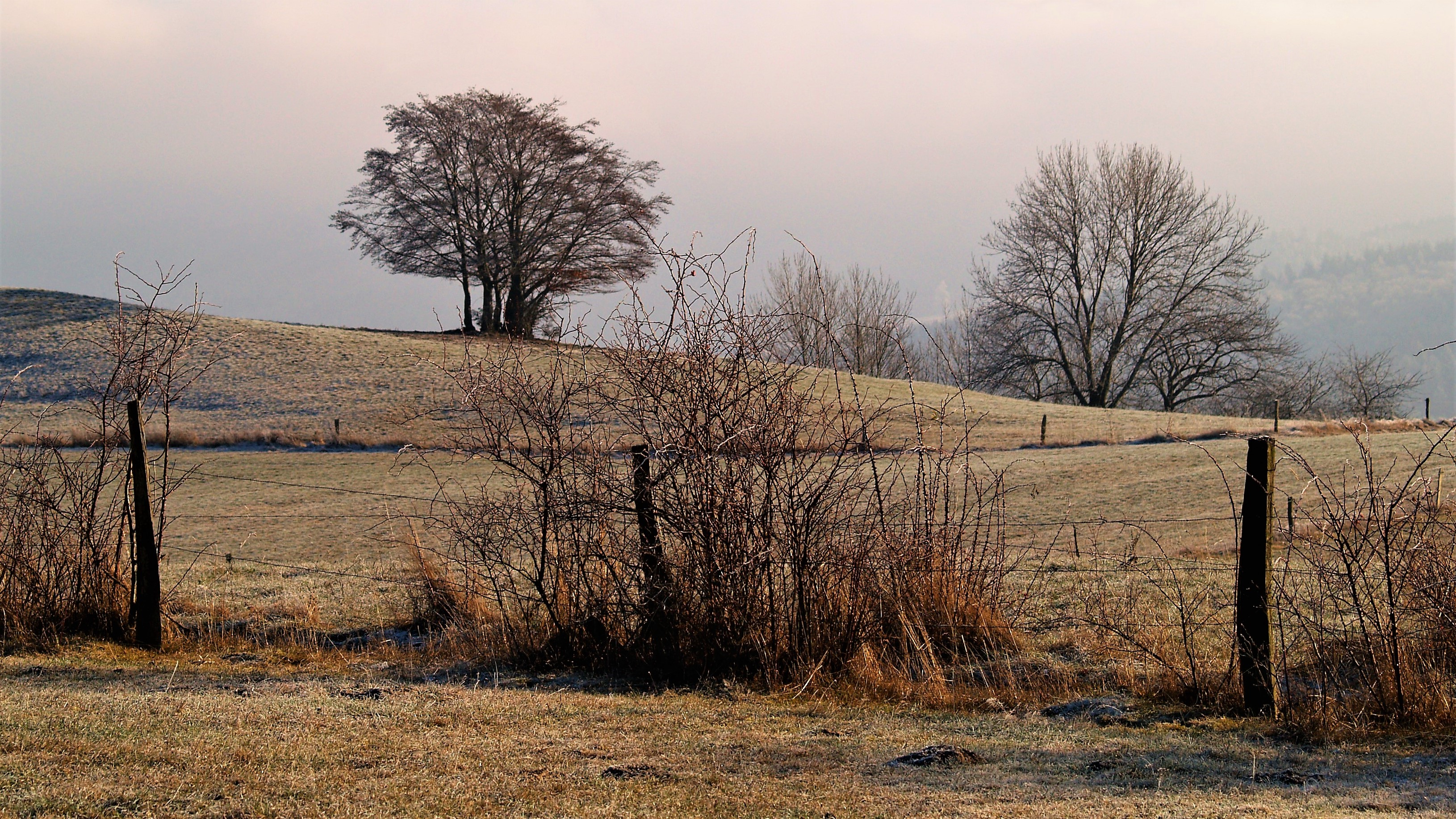 HEIMAT 14